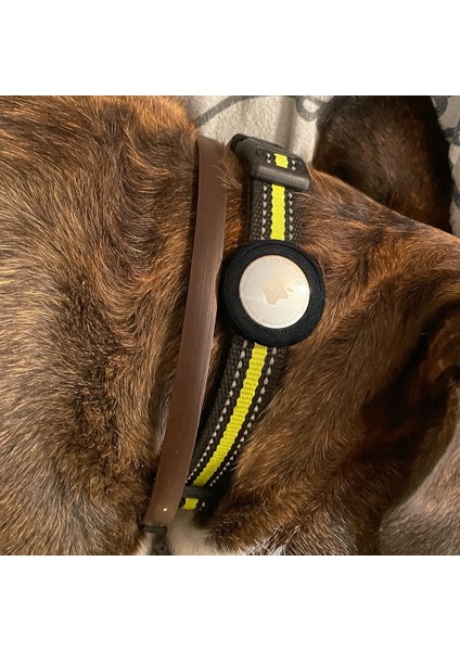 Hayvan Tasmaları Için Airtag Kılıfı (Siyah) modelleri