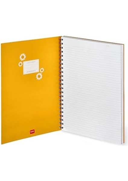 Okul Def Trio Spiralli Daisy fiyatları