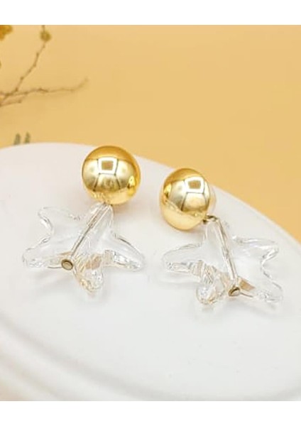 Şeffaf Kristal Yıldız Küpe