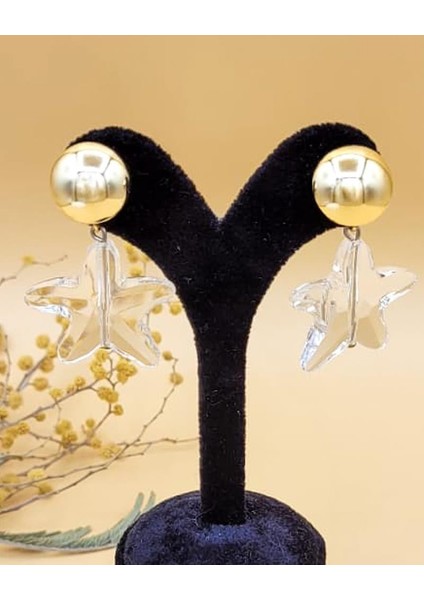 Şeffaf Kristal Yıldız Küpe fiyatları