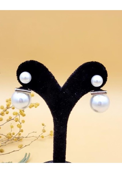 Silver Inci Küpe fiyatları