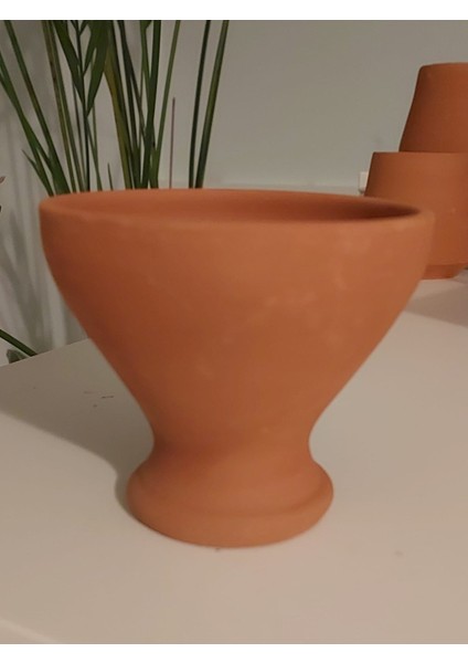 Bitki Ekim Kiti fiyatları