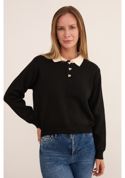 Basic Gömlek Yaka Yarım Düğmeli Triko Kazak