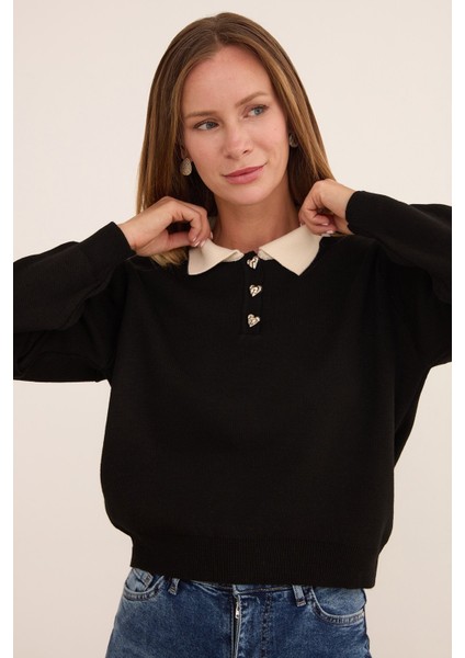 Basic Gömlek Yaka Yarım Düğmeli Triko Kazak fiyatları