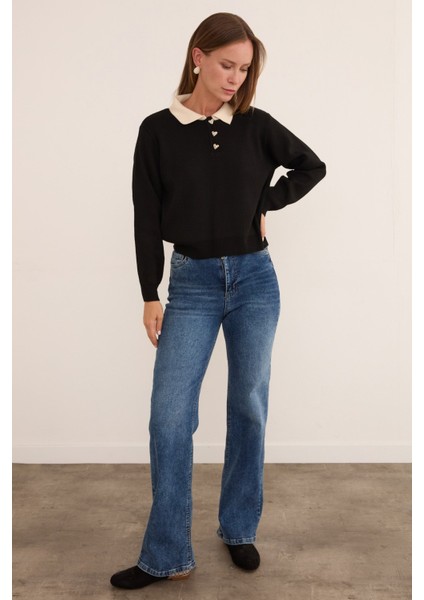 Basic Gömlek Yaka Yarım Düğmeli Triko Kazak modelleri