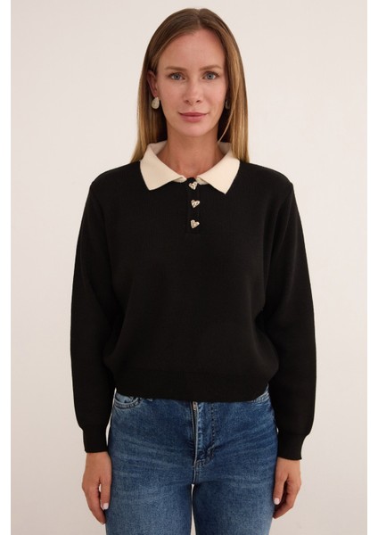 Basic Gömlek Yaka Yarım Düğmeli Triko Kazak