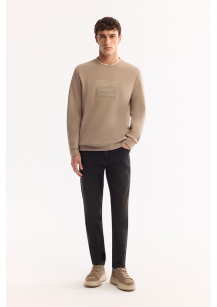 Erkek Vizon Bisiklet Yaka Pamuklu Bi-Stretch Baskılı Regular Fit Sweatshirt A52Y1289