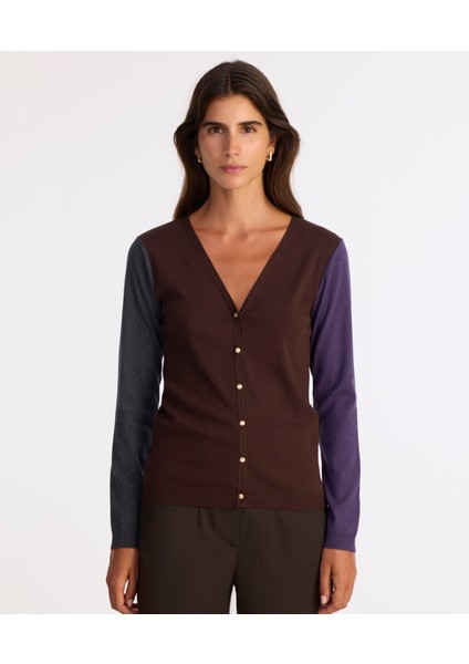 V Yaka Renk Bloklu Hırka