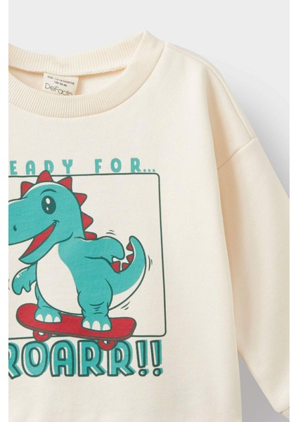 Erkek Bebek Bisiklet Yaka Dinozor Baskılı İçi Yumuşak Tüylü Sweatshirt E9230A525AU fiyatları