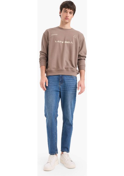 %100 Pamuk Boxy Fit Bisiklet Yaka Nakışlı Sweatshirt F0117AX25AU fiyatları