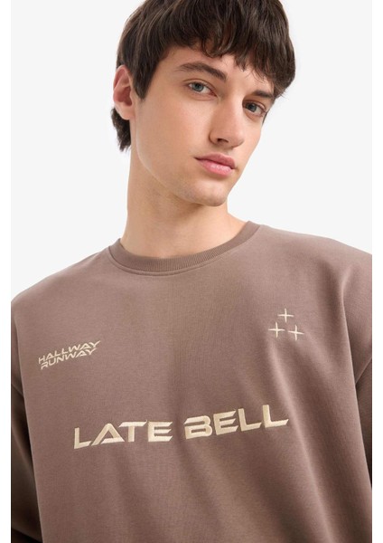 %100 Pamuk Boxy Fit Bisiklet Yaka Nakışlı Sweatshirt F0117AX25AU modelleri