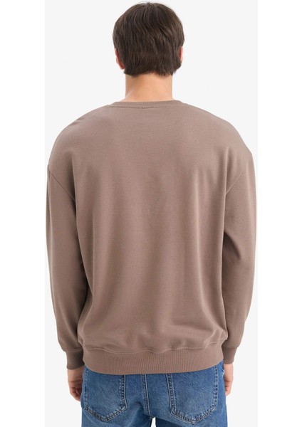 %100 Pamuk Boxy Fit Bisiklet Yaka Nakışlı Sweatshirt F0117AX25AU fırsatları