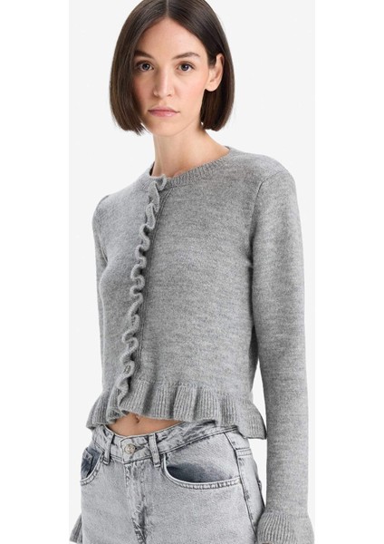 Regular Fit Bisiklet Yaka Triko Hırka modelleri