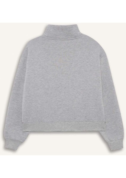 Relax Fit Yarım Balıkçı Yaka Baskılı Kalın Fermuarlı Sweatshirt F7890AX25AU modelleri