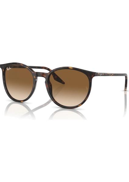 RB2204 902/51 Kadın Güneş Gözlüğü