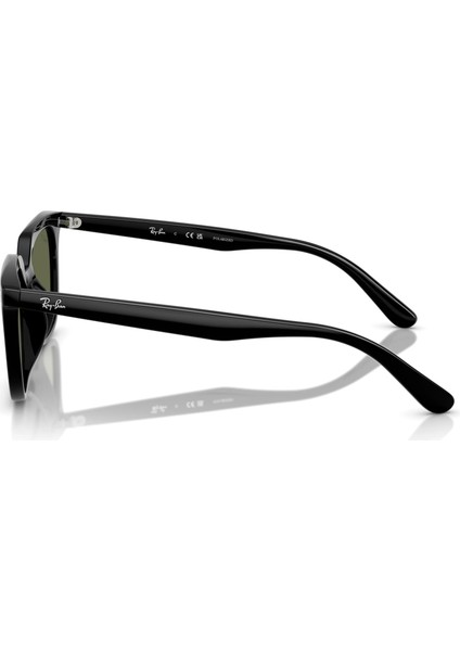 RB4439D 901/9A 54 Polarize Unisex Güneş Gözlüğü fiyatları