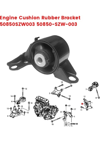 Şanzıman Montaj Kauçuk Assy 50850-SZW-003 Honda Step Wgn Rk1 Rk1 09-15 Motor Yağlı Kauçuk Braketi 50850SZW003 (Yurt Dışından) modelleri