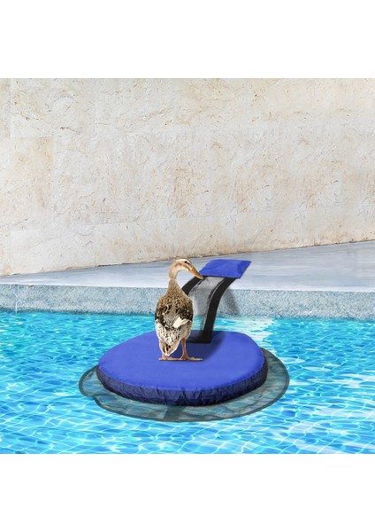 Yüzme Havuzu Küçük Hayvan Kaçış Ağı (Yurt Dışından) fırsatları