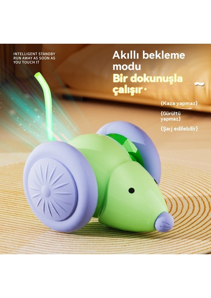 Akıllı Kedi Oyuncak Indüksiyon Fare Araba Oyuncak Atlatmak (Yurt Dışından) indirimleri