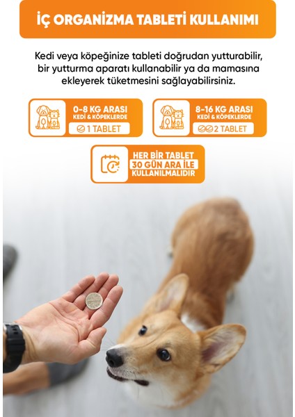 Kedi Köpek Iç Dış Tüy Bakım Damlası Tablet Hediyeli indirimleri