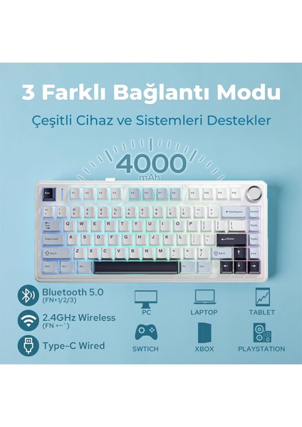 F75 Mekanik Rgb Tkl Ice Vein Switch Kablosuz Makrolu Hot Swap Klavye Lacivert fırsatları
