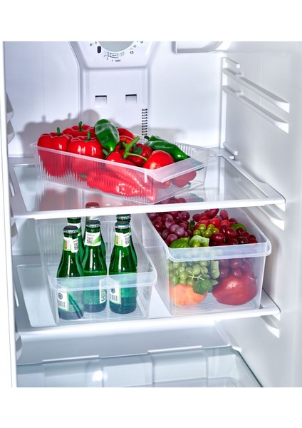 3 Boy Buzdolabı Düzenleyici Seti 8 Litre 6 Litre 4 Litre