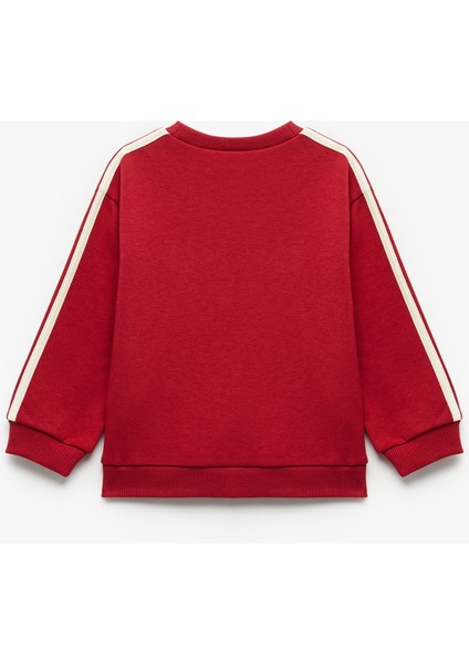 Uzun Kollu Şardonlu Şerit Detaylı Nakışlı Bisiklet Yaka Sweatshirt fiyatları