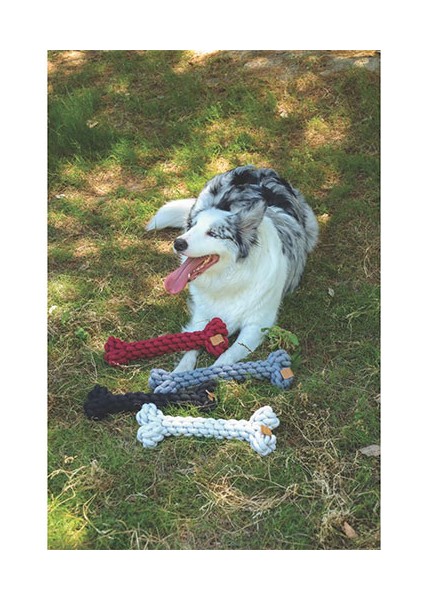 Coto Örgü Kemik Köpek Oyuncağı Gri 30 cm fiyatları