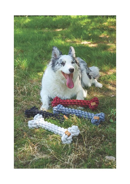 Coto Örgü Kemik Köpek Oyuncağı Siyah 30 cm fiyatları