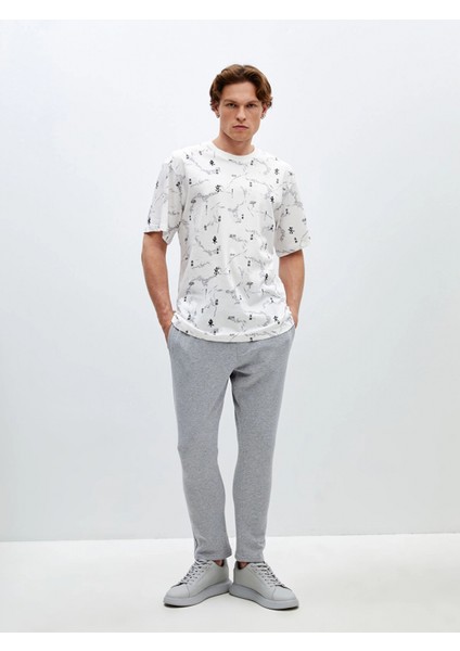 Lcw Casual Gri Slim Fit Erkek Kalın Eşofman Altı fiyatları