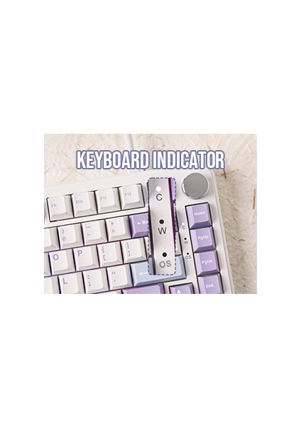 AK820 Max He Hall Effect Manyetik Switch Kablolu Oyun Klavyesi 8000Hz Mor Beyaz modelleri