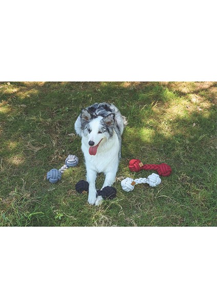 Coto Beyaz Duo Ball Örgü Köpek Oyuncağı 28 cm fiyatları