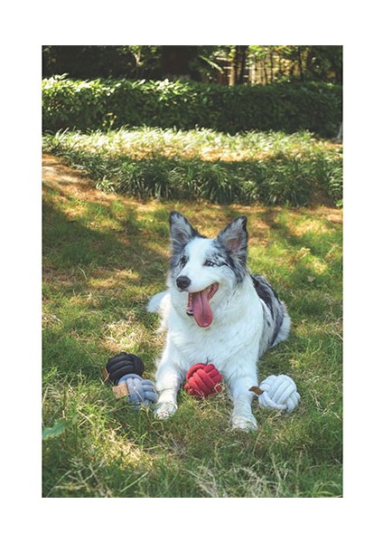 Coto Örgü Top Köpek Oyuncağı Gri 9,5 cm modelleri