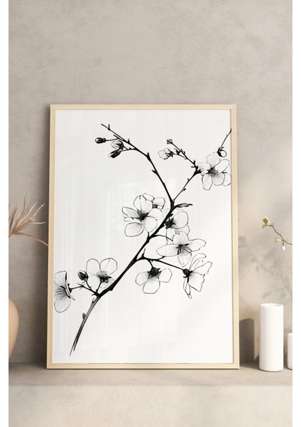 🌿 Siyah Beyaz Çiçek ve Bitki Desenli 3'lü Ahşap Çerçeveli Tablo Seti🌿 CRV1103 fırsatları