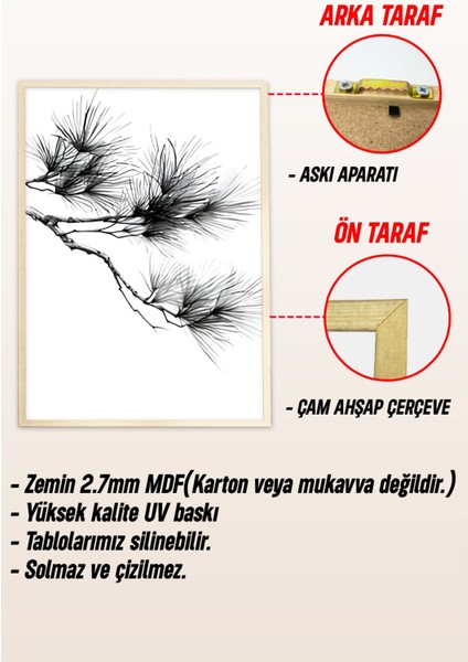 🌿 Siyah Beyaz Çiçek ve Bitki Desenli 3'lü Ahşap Çerçeveli Tablo Seti🌿 CRV1103