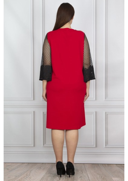 Kadın Kırmızı Dantel Detaylı Elbise 65N20604 fiyatları