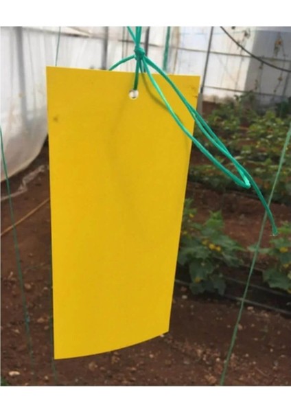 Sarı Yapışkan Tuzak 10'lu Paket modelleri