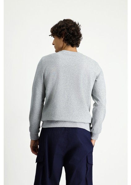 Regular Fit Bisiklet Yaka Pamuklu Ketenli Baskılı Sweatshırt indirimleri