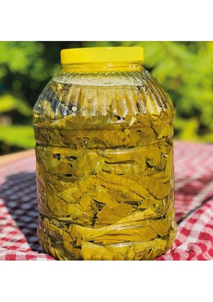 5 L Pet Turşu Bidonu – Salça, Sirke, Yağ Için Gıdaya Uygun Saklama Kabı fiyatları