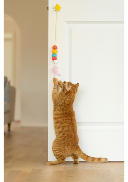 Elastik Kendinden Yapışkanlı Renkli Kedi Oyun Oltası Kedi Oyuncağı Yapışkanlı Olta Eğitim Oyuncağı fiyatları
