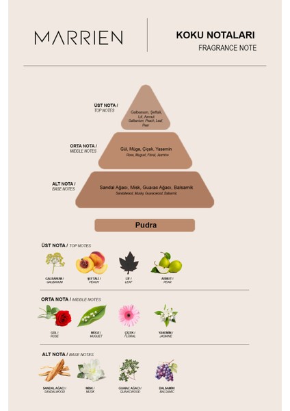 Pudra Çubuklu Oda Kokusu 100 Ml fırsatları