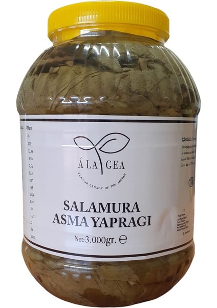 Damarsız Alaşehir Asma Yaprağı 3000 gr fiyatları