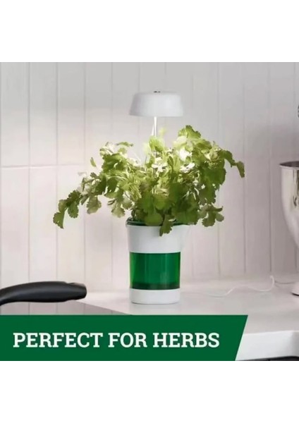 Hızlı Bitki Yetiştirme Saksısı fırsatları