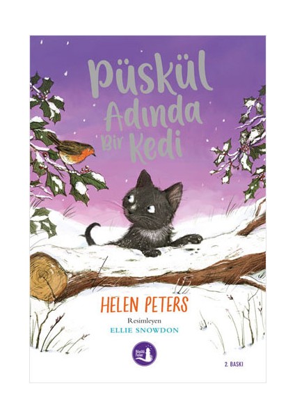 Püskül Adında Bir Kedi + Yapışkanlı Not Kağıdı fiyatları