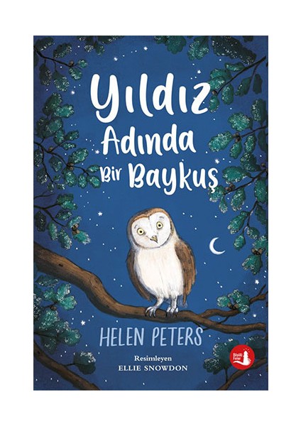 Yıldız Adında Bir Baykuş + Yapışkanlı Not Kağıdı fiyatları