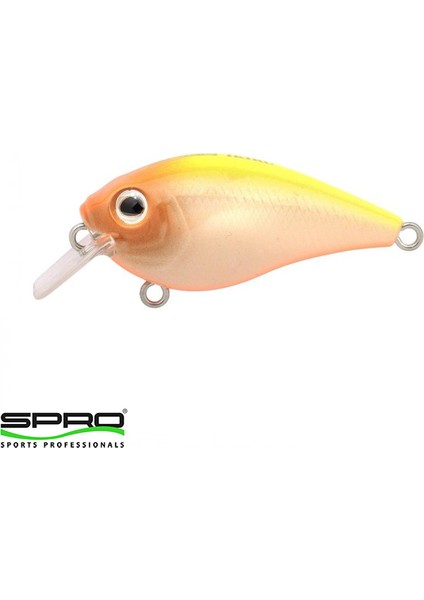 Ikiru Crank N. Chart Back 4,5cm