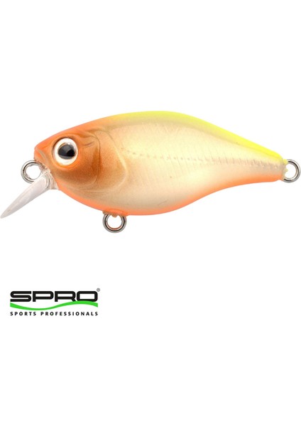 Ikiru Mini Crank N Chart Back