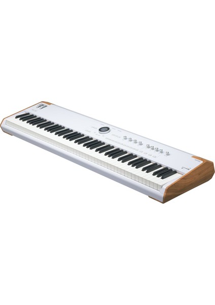 Astrolab 88 | Avantgard Sahne Synthesizer (88 Tuş) fiyatları