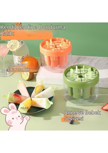 Dondurma Ev Yapımı Buzlu Şeker (Yurt Dışından) modelleri