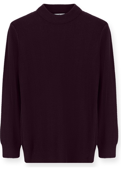 Yarım Balıkçı Yaka Slim Fit Dar Kesim Desenli Pamuklu Triko Kazak